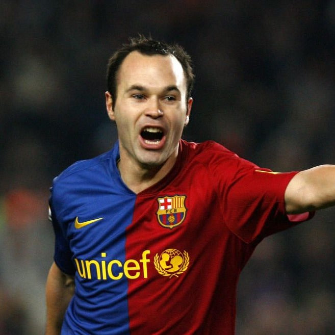 FC Barcelona 2008/09 Home