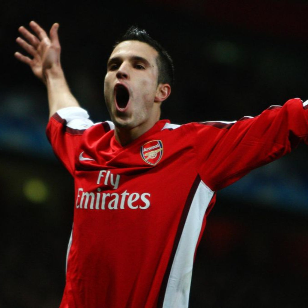 Arsenal 2008/09 Home