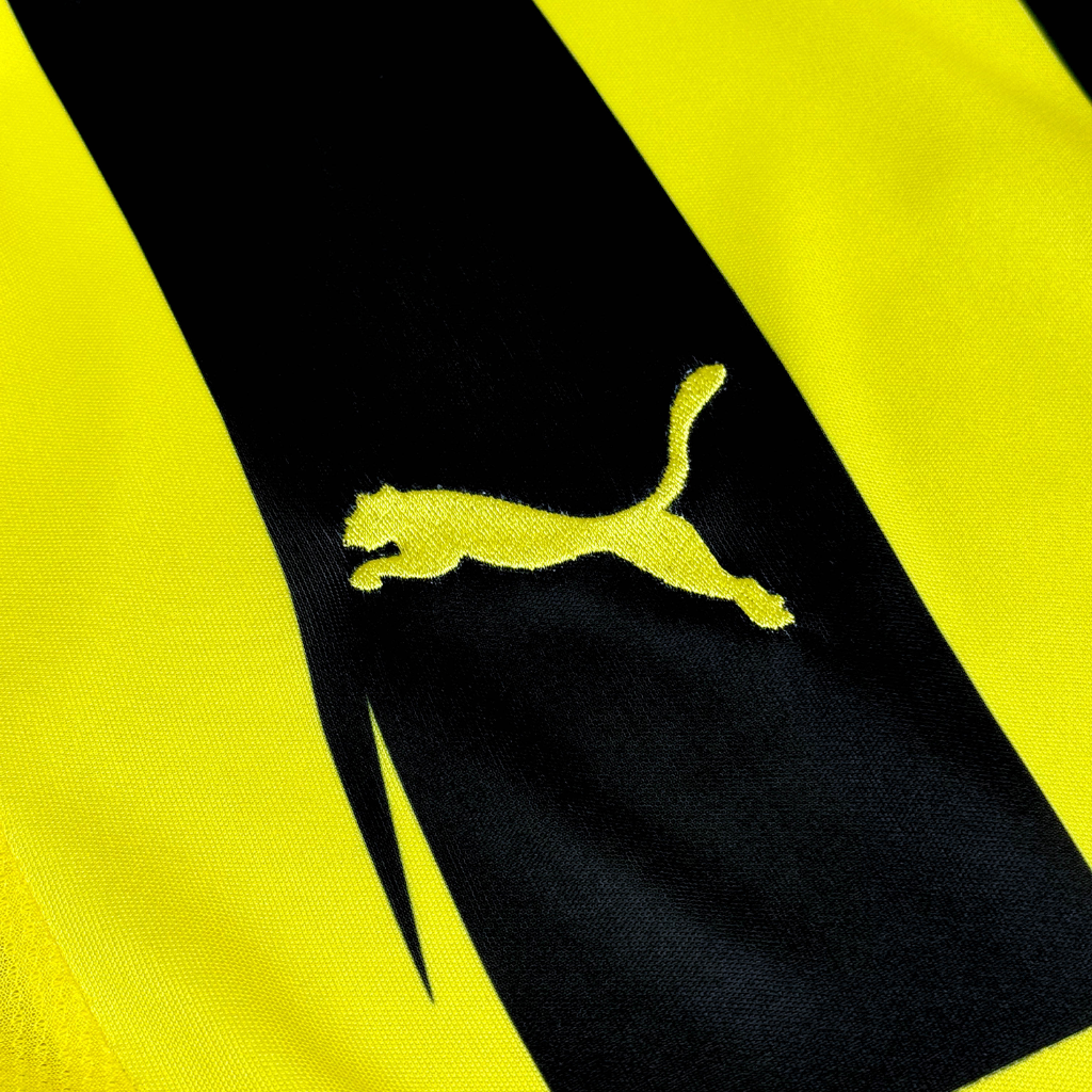 Borussia Dortmund 2012/13 Home