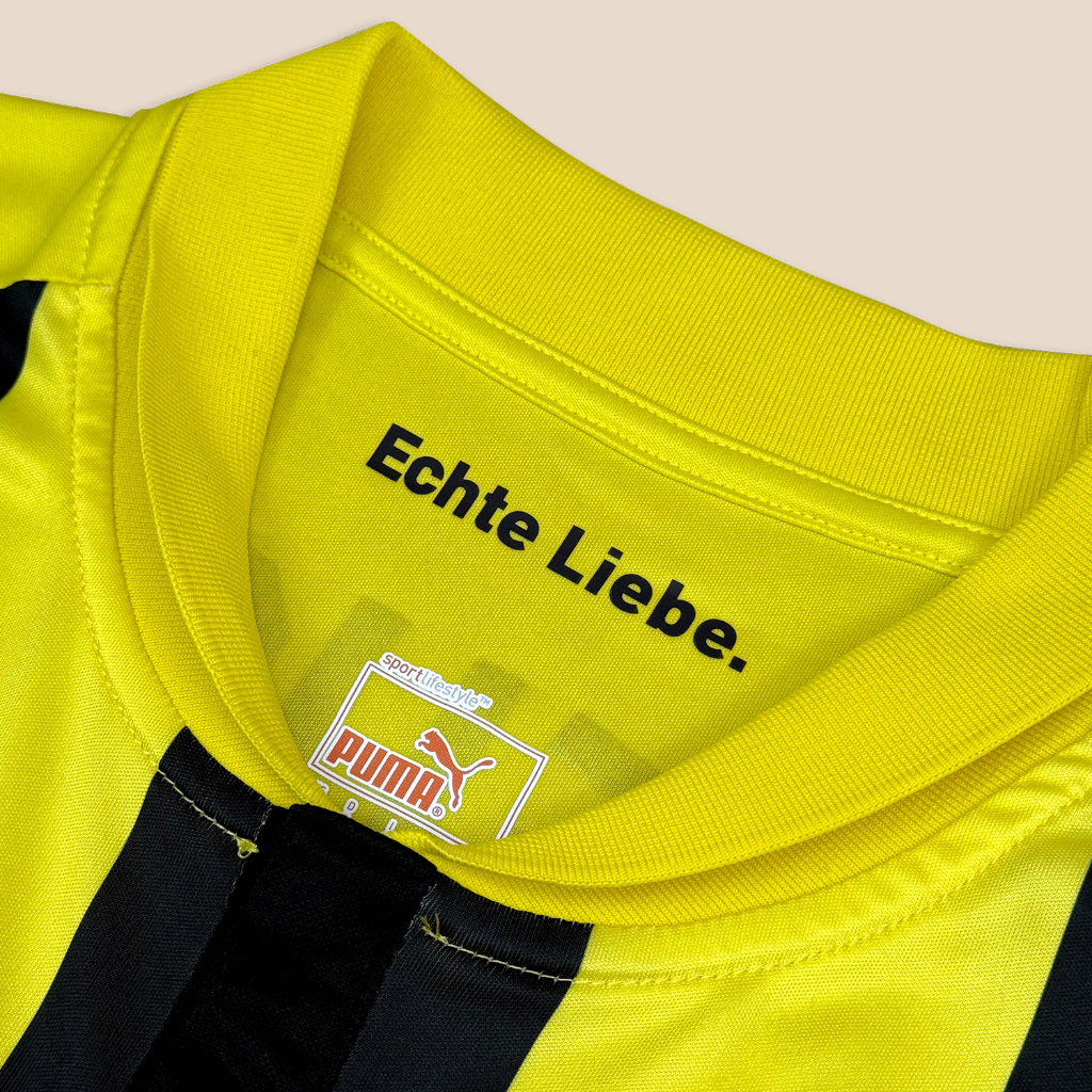 Borussia Dortmund 2012/13 Home