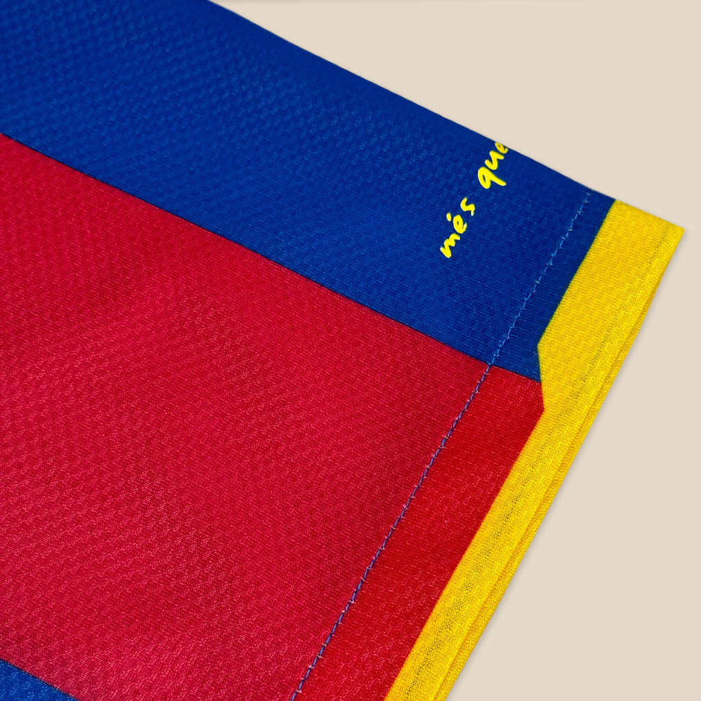 FC Barcelona 2010/11 Home